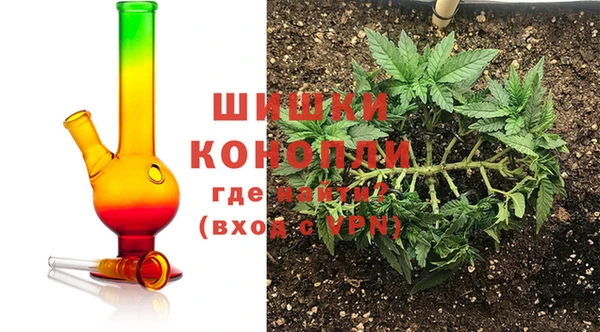 PSILOCYBIN Чекалин