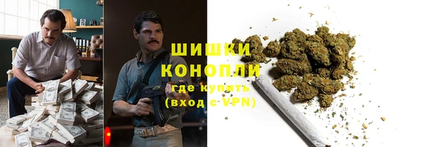 дмт Новокубанск