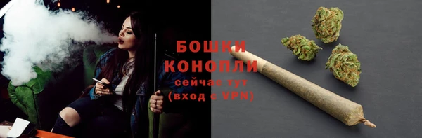 дмт Новокубанск